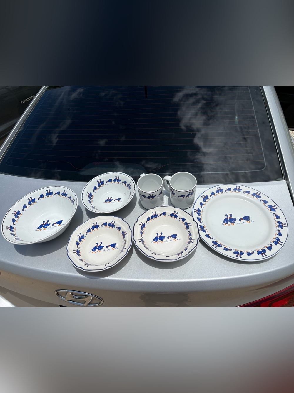 Goose 7 piece Dish Set